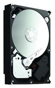 ������� ���� Seagate ST31500541AS