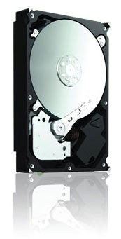 ������� ���� Seagate ST32000542AS
