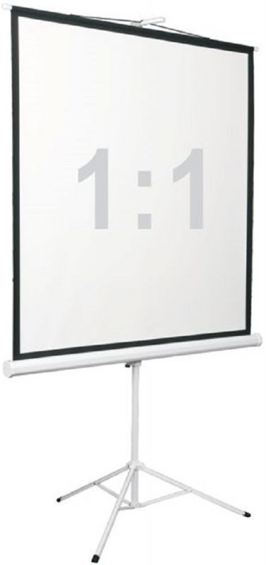 Экран Digis 84" 150x150см Kontur-D DSKD-1103 1:1 напольный рулонный — миниатюра 2