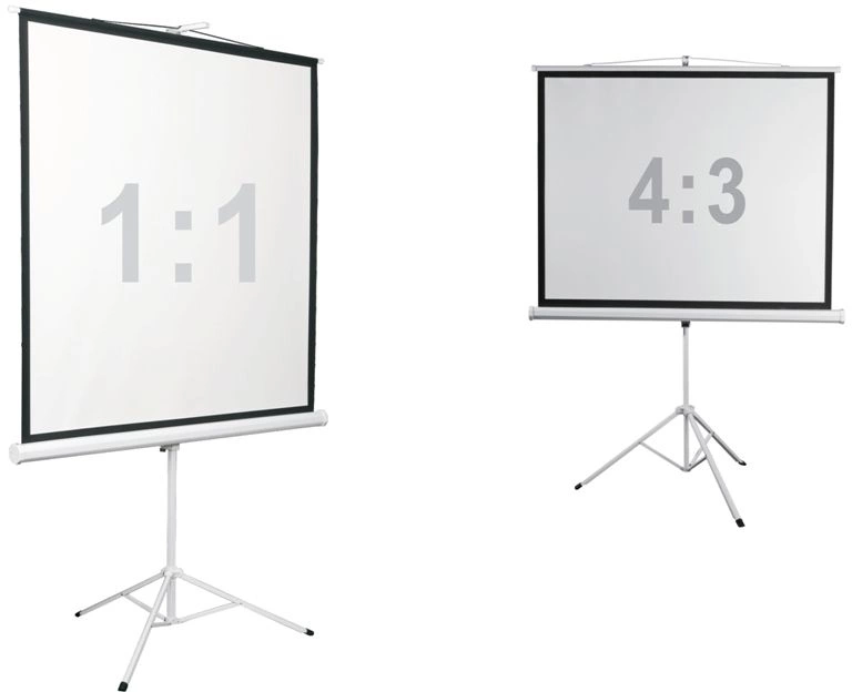 Экран Digis 112" 200x200см Kontur-D DSKD-1106 1:1 напольный рулонный — миниатюра 3