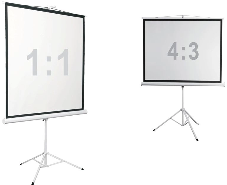 Экран Digis 112" 200x200см Kontur-D DSKD-1106 1:1 напольный рулонный — миниатюра 4