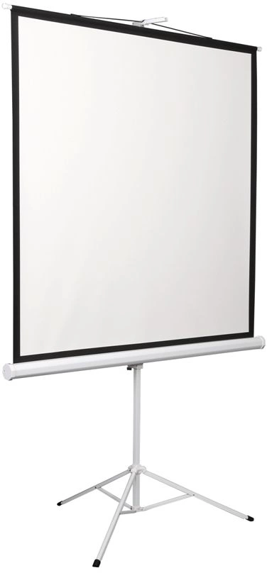 Экран Digis 112" 200x200см Kontur-D DSKD-1106 1:1 напольный рулонный — миниатюра 5