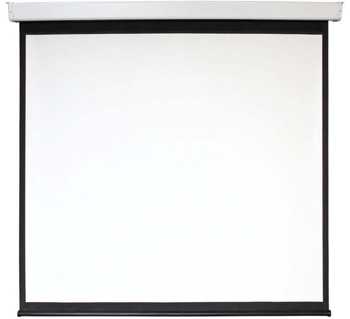 Экран Digis 156" 280x280см Electra-F DSEF-1109 1:1 настенно-потолочный рулонный (моторизованный привод)