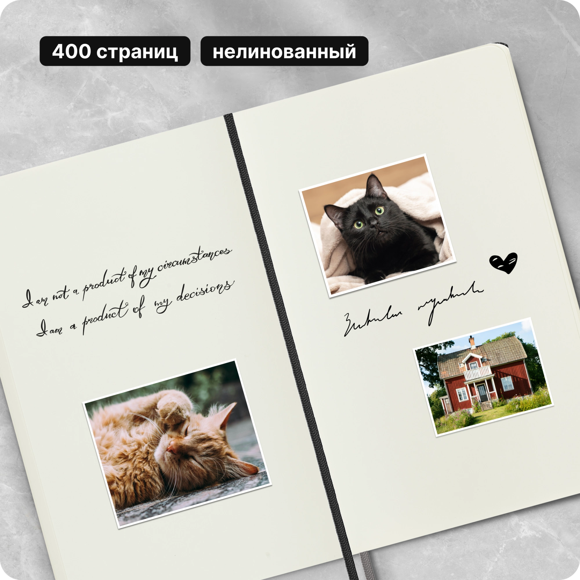 Блокнот Moleskine CLASSIC EXPENDED QP062EXP Large 130х210мм 400стр. нелинованный твердая обложка черный — миниатюра 9