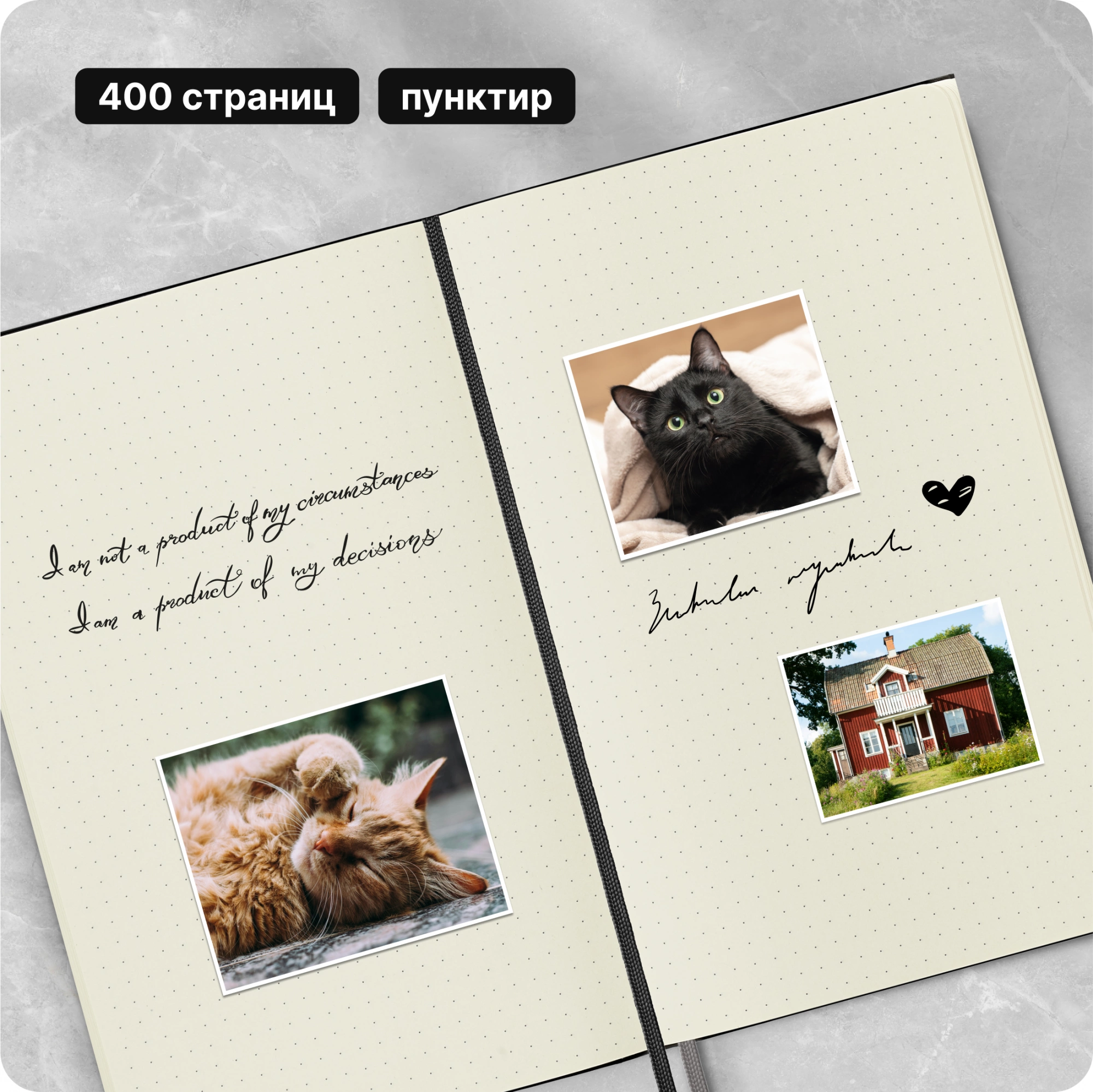 Блокнот Moleskine CLASSIC EXPENDED QP066EXP Large 130х210мм 400стр. пунктир твердая обложка черный — миниатюра 9