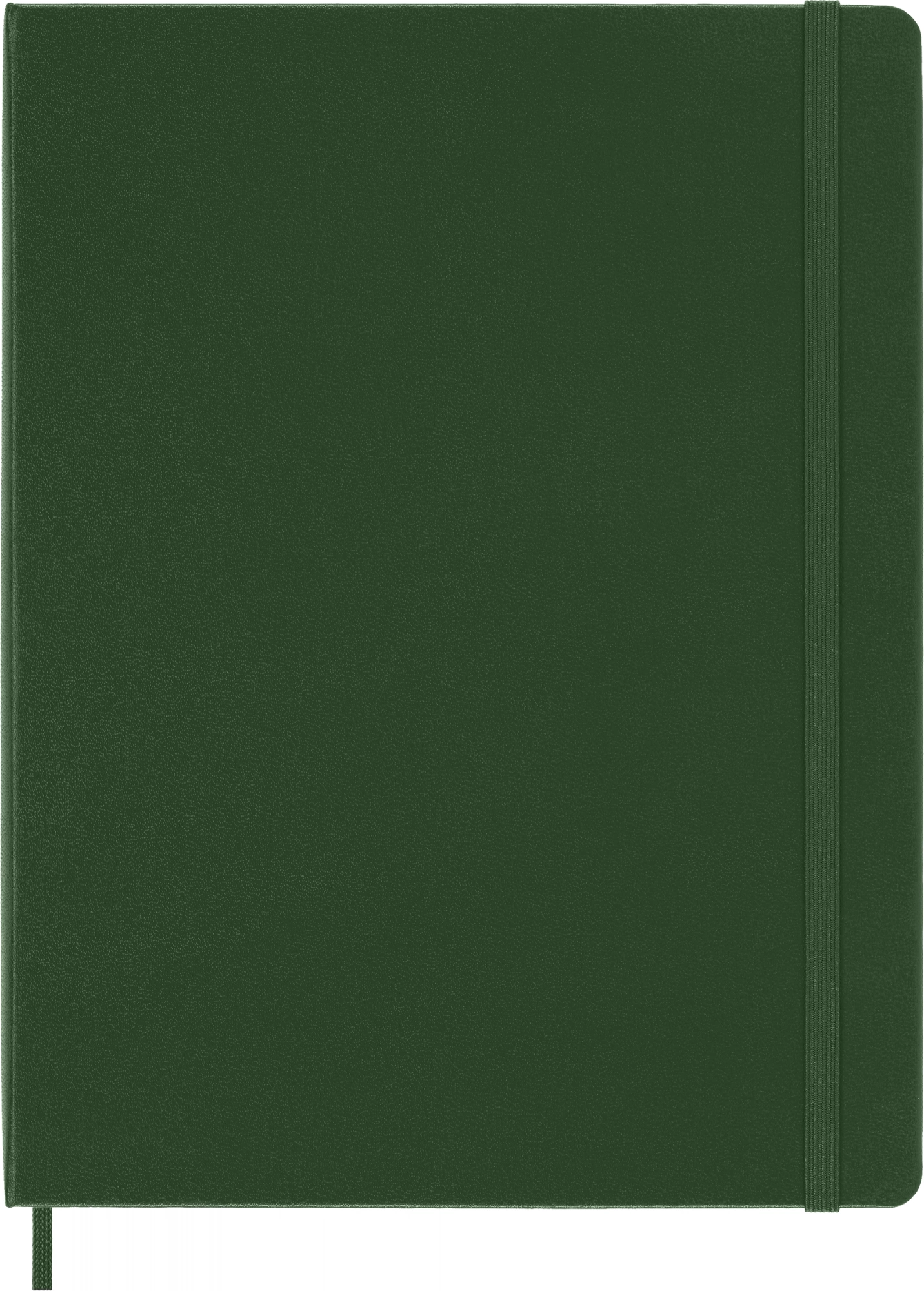 Блокнот Moleskine CLASSIC QP093K15 XLarge 190х250мм 192стр. пунктир твердая обложка зеленый — миниатюра 2