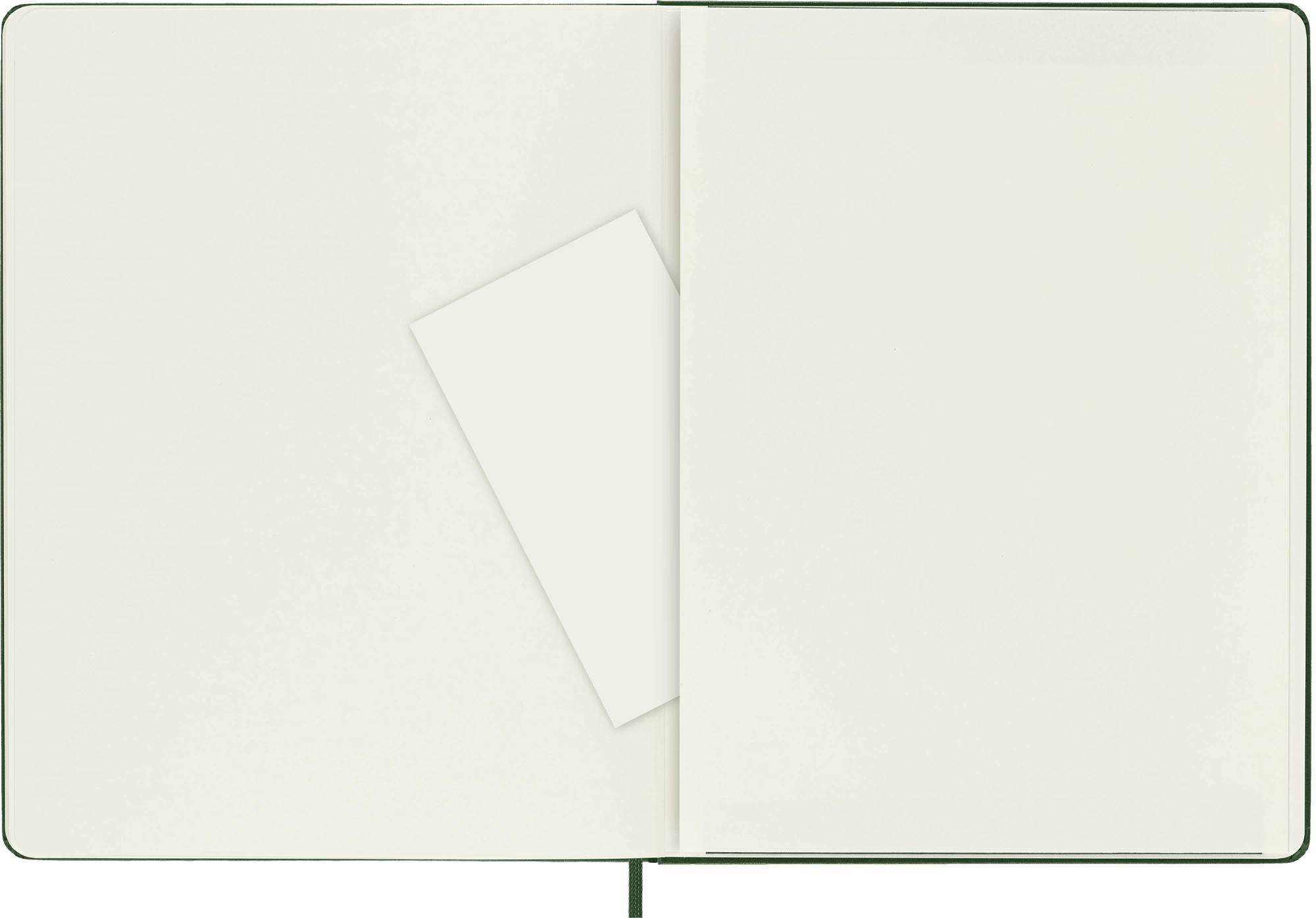 Блокнот Moleskine CLASSIC QP093K15 XLarge 190х250мм 192стр. пунктир твердая обложка зеленый — миниатюра 5