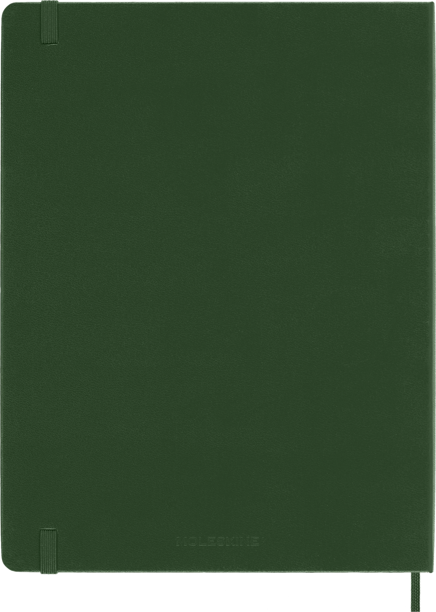Блокнот Moleskine CLASSIC QP093K15 XLarge 190х250мм 192стр. пунктир твердая обложка зеленый — миниатюра 6
