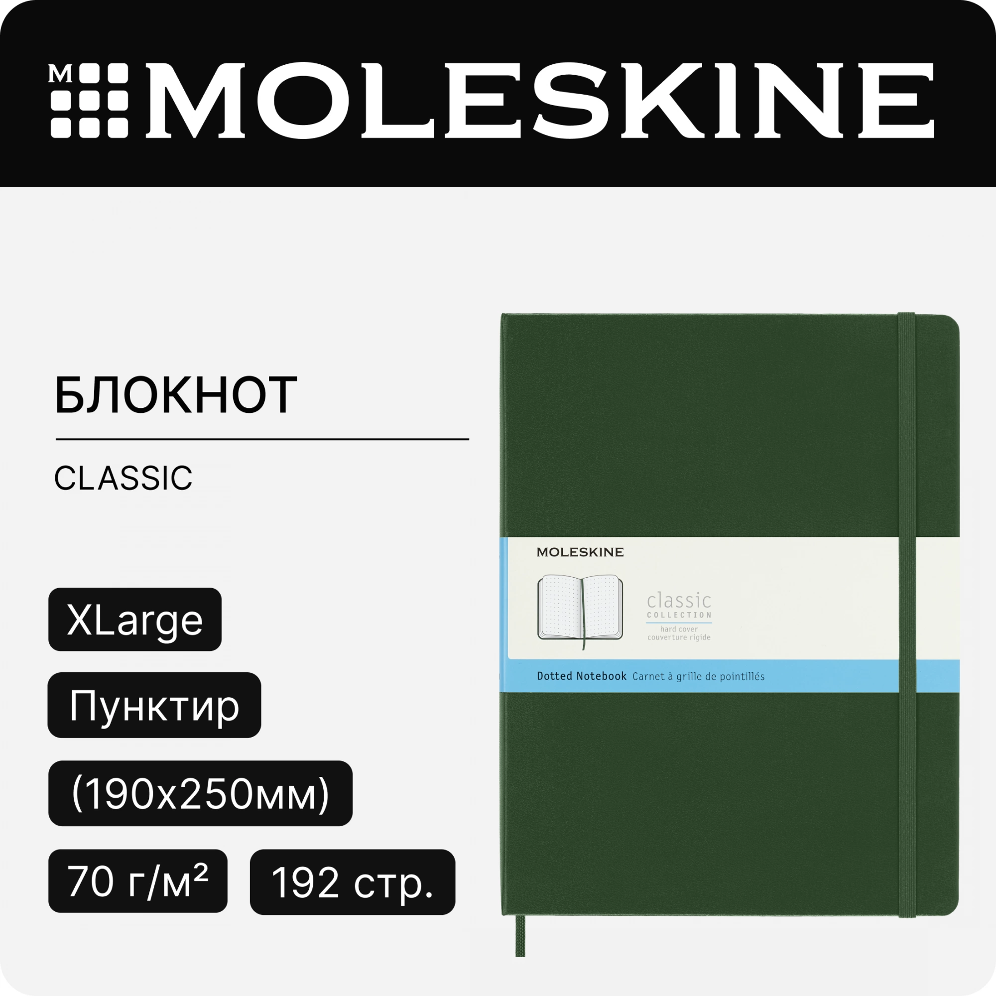 Блокнот Moleskine CLASSIC QP093K15 XLarge 190х250мм 192стр. пунктир твердая обложка зеленый — миниатюра 7