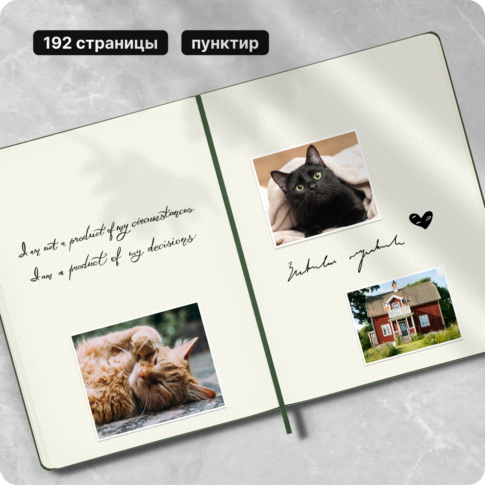 Блокнот Moleskine CLASSIC QP093K15 XLarge 190х250мм 192стр. пунктир твердая обложка зеленый — миниатюра 9