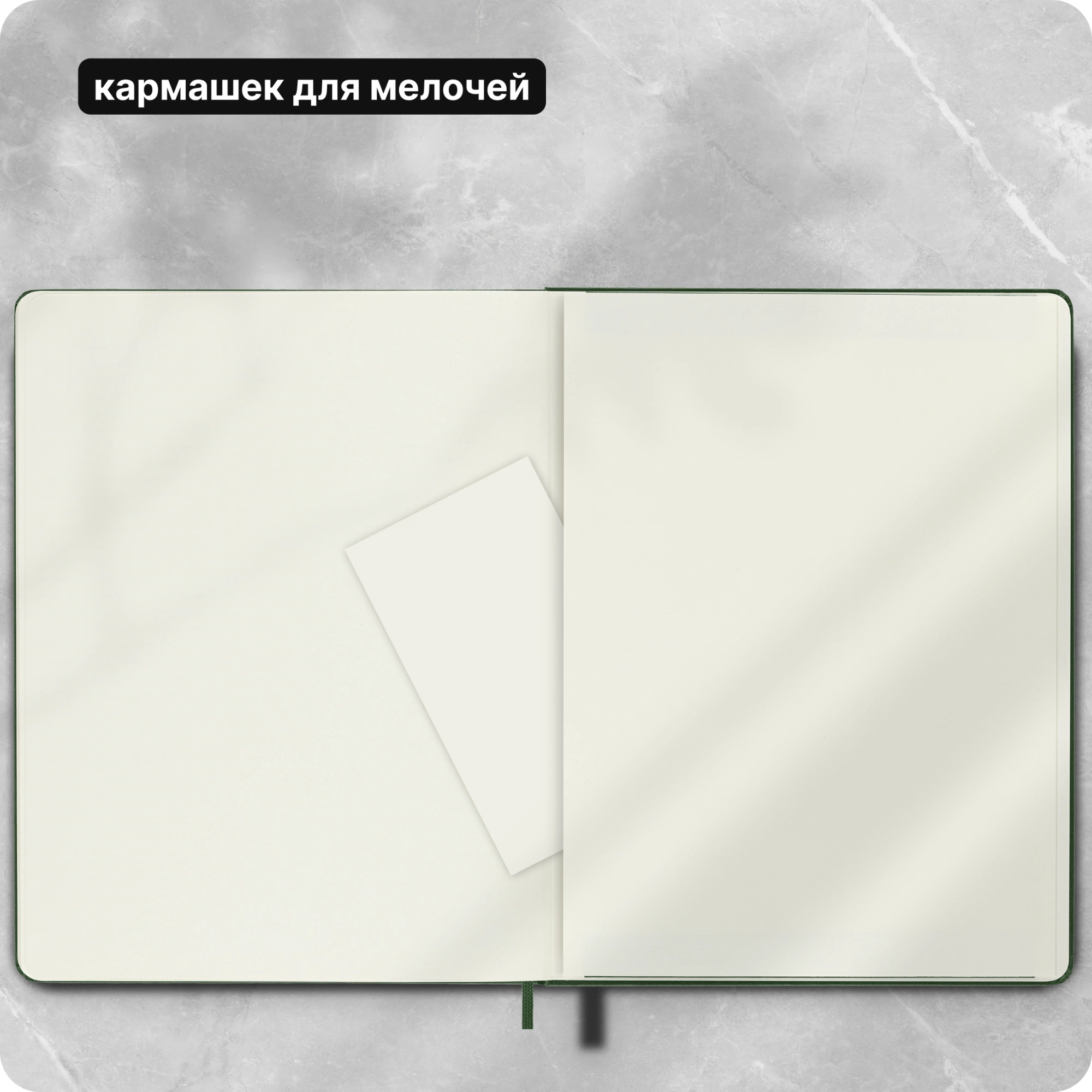 Блокнот Moleskine CLASSIC QP093K15 XLarge 190х250мм 192стр. пунктир твердая обложка зеленый — миниатюра 10