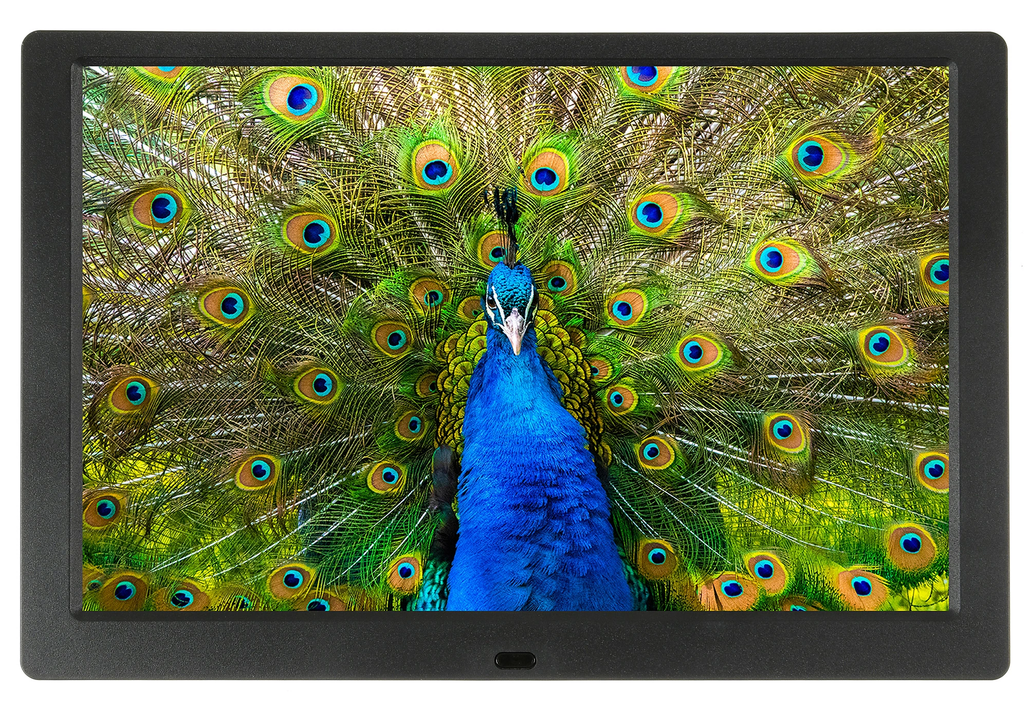 Фоторамка Digma 10.1" PF-1043 IPS 1280x800 черный пластик ПДУ Видео — миниатюра 2