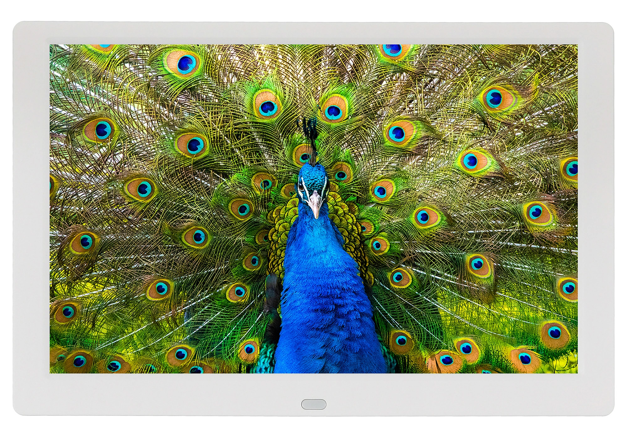 Фоторамка Digma 10.1" PF-1043 1280x800 белый пластик ПДУ Видео — миниатюра 2