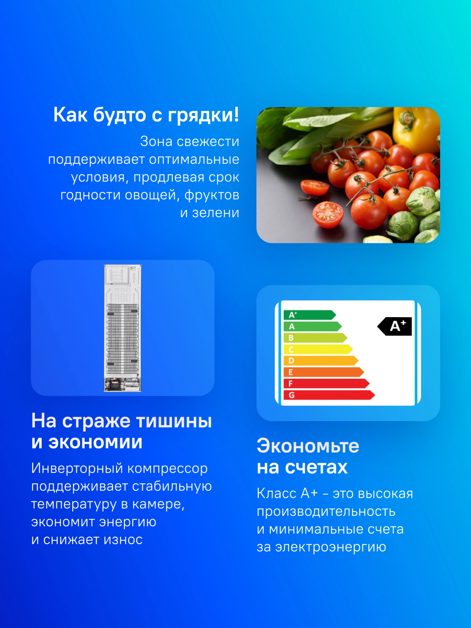 Холодильник LG GA-B509CECL 2-хкамерн. бежевый глянц. инвертер — миниатюра 12