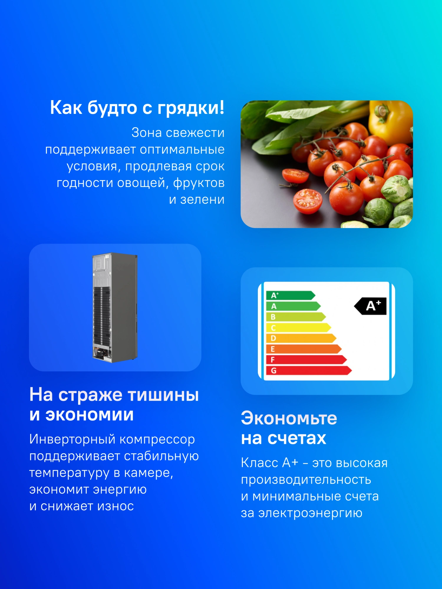 Холодильник LG GA-B509CLCL 2-хкамерн. графит мат. инвертер — миниатюра 12