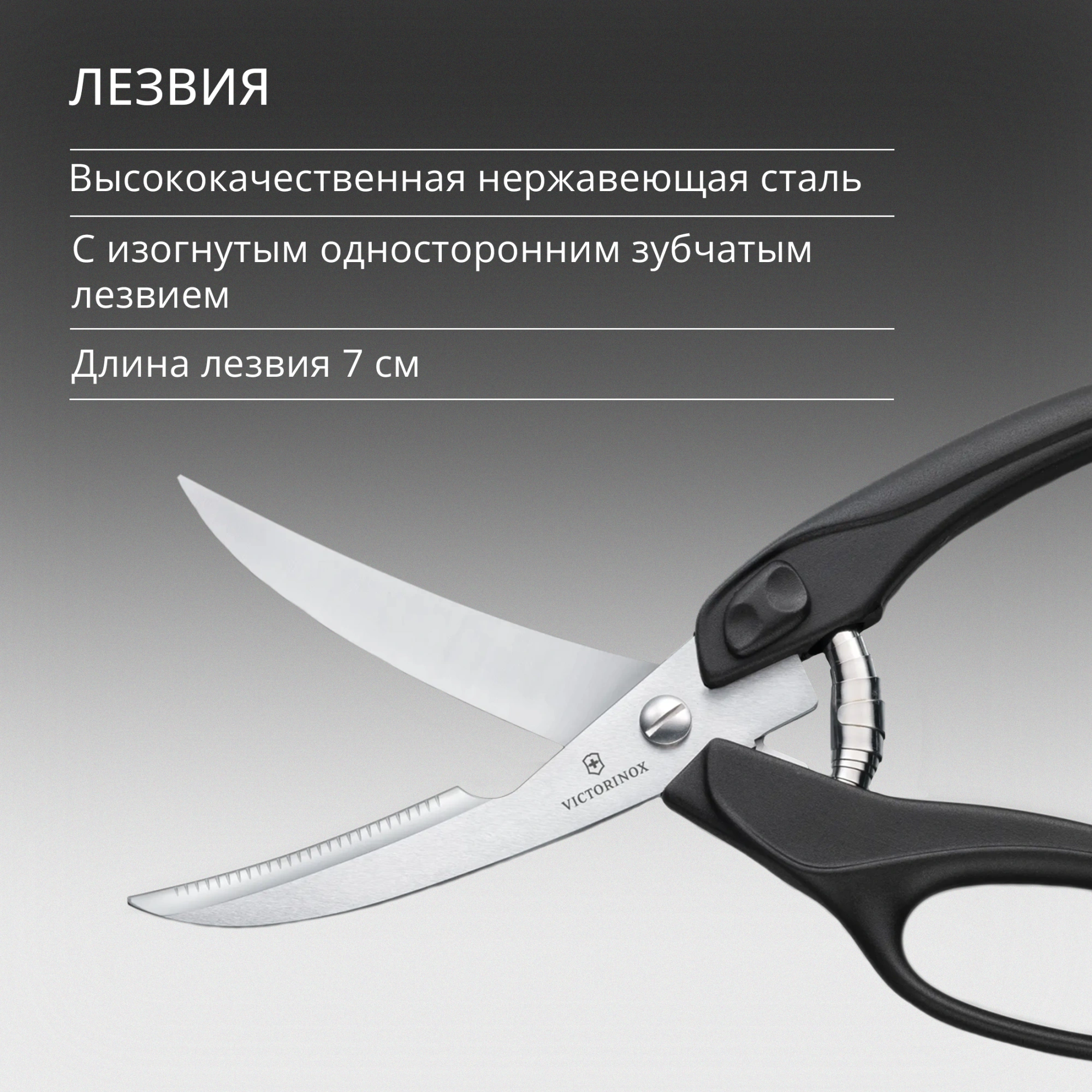 Ножницы кухонные Victorinox для разделки птицы 250мм черный (7.6344) — миниатюра 4