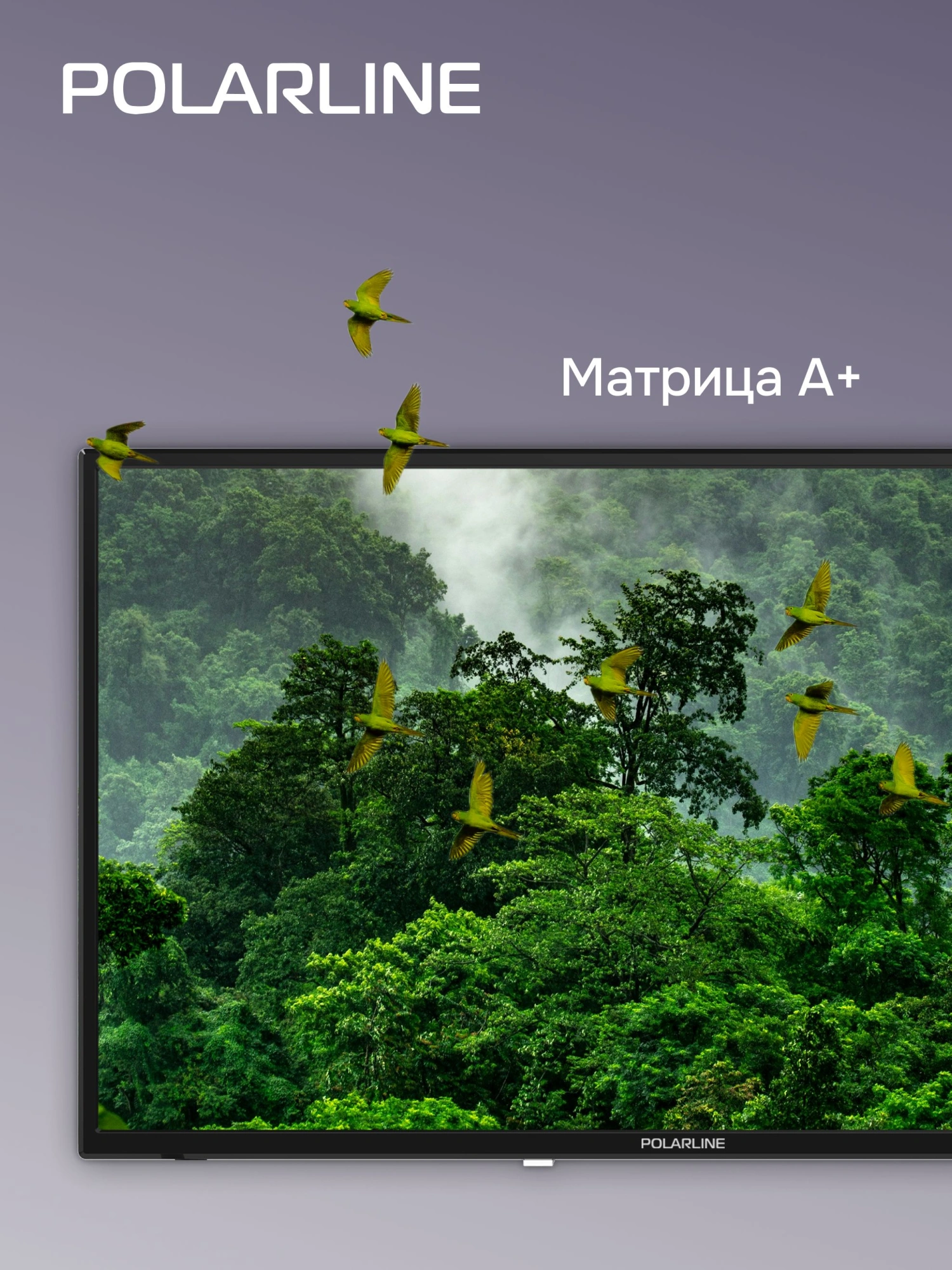 Телевизор LED PolarLine 32" 32PL13TC-SM черный HD 60Hz DVB-T DVB-T2 DVB-C USB WiFi Smart TV (RUS) — миниатюра 17