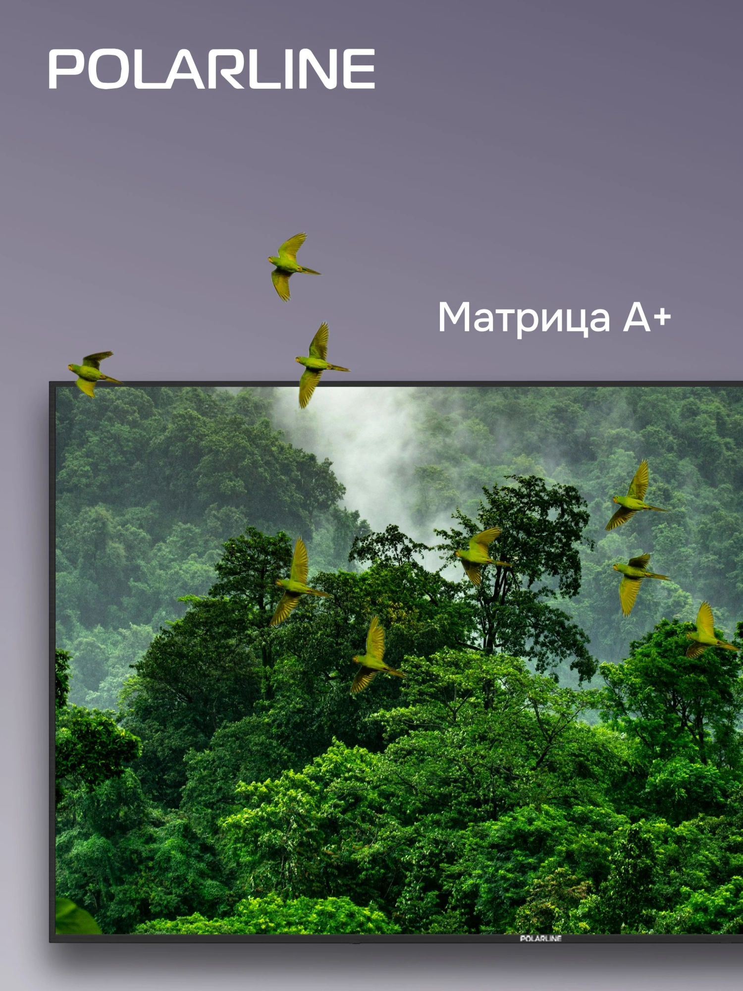 Телевизор LED PolarLine 55" 55PU11TC-SM черный 4K Ultra HD 60Hz DVB-T DVB-T2 DVB-C DVB-S2 USB WiFi Smart TV (RUS) — миниатюра 11