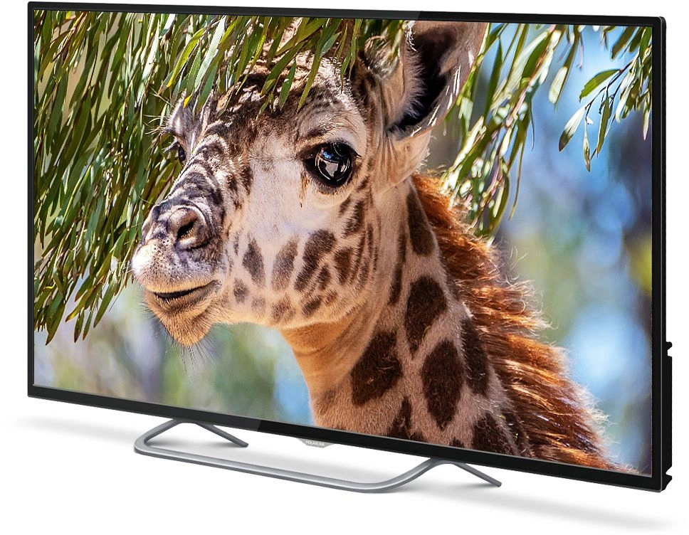 Телевизор LED PolarLine 55" 55PU11TC-SM черный 4K Ultra HD 60Hz DVB-T DVB-T2 DVB-C DVB-S2 USB WiFi Smart TV (RUS) — миниатюра 2