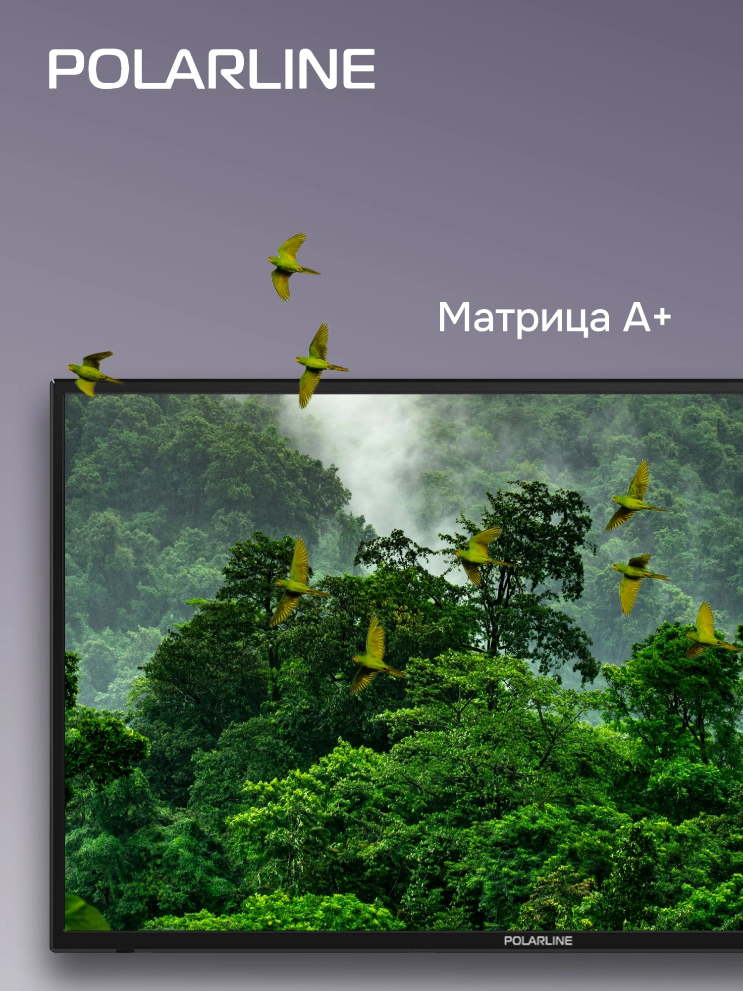 Телевизор LED PolarLine 32" 32PL54TC черный FULL HD 60Hz DVB-T DVB-T2 DVB-C USB (RUS) — миниатюра 6