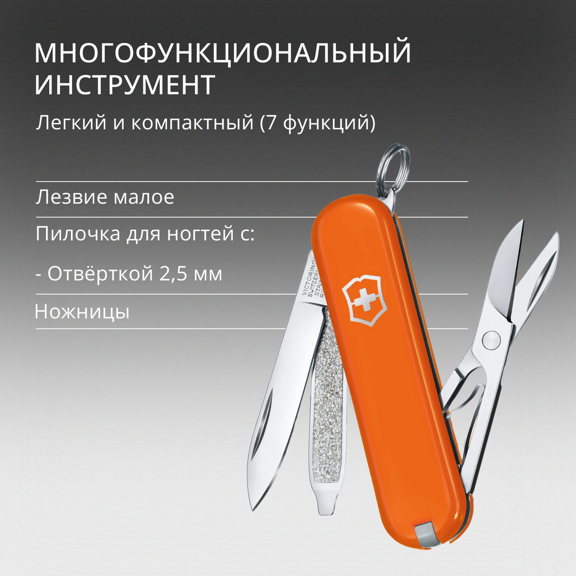 Нож перочинный Victorinox Classic SD Mango Tango (0.6223.83G) 58мм 7функц. подар.коробка — миниатюра 8