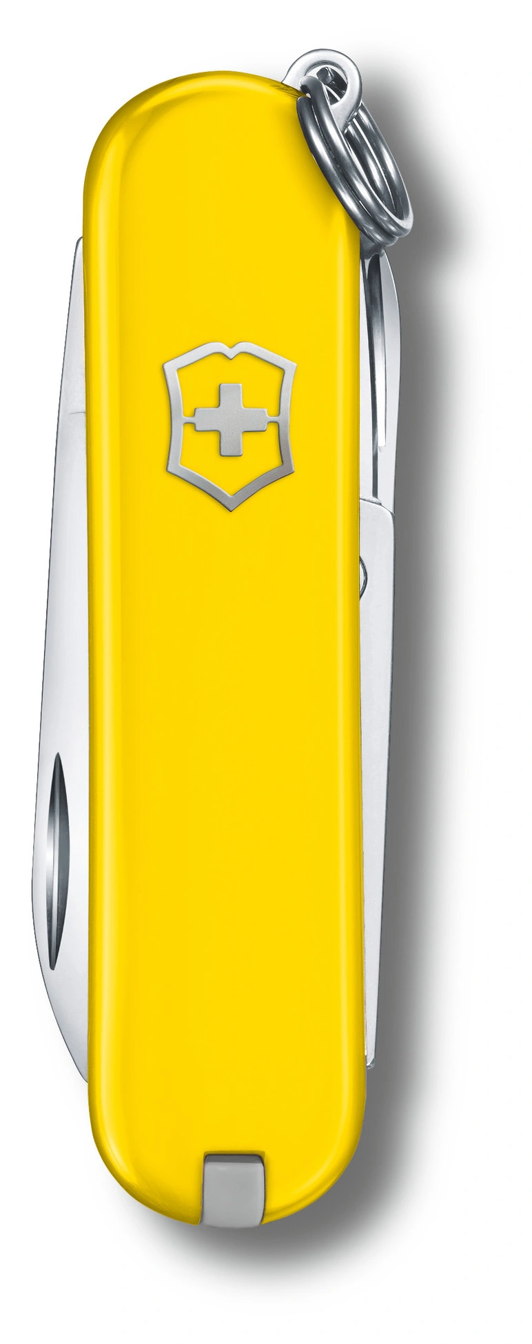 Нож перочинный Victorinox Classic SD Sunny Side (0.6223.8G) 58мм 7функц. подар.коробка — миниатюра 2