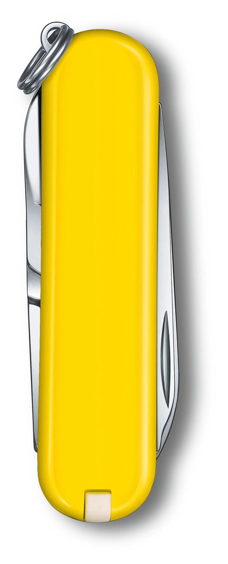 Нож перочинный Victorinox Classic SD Sunny Side (0.6223.8G) 58мм 7функц. подар.коробка — миниатюра 3