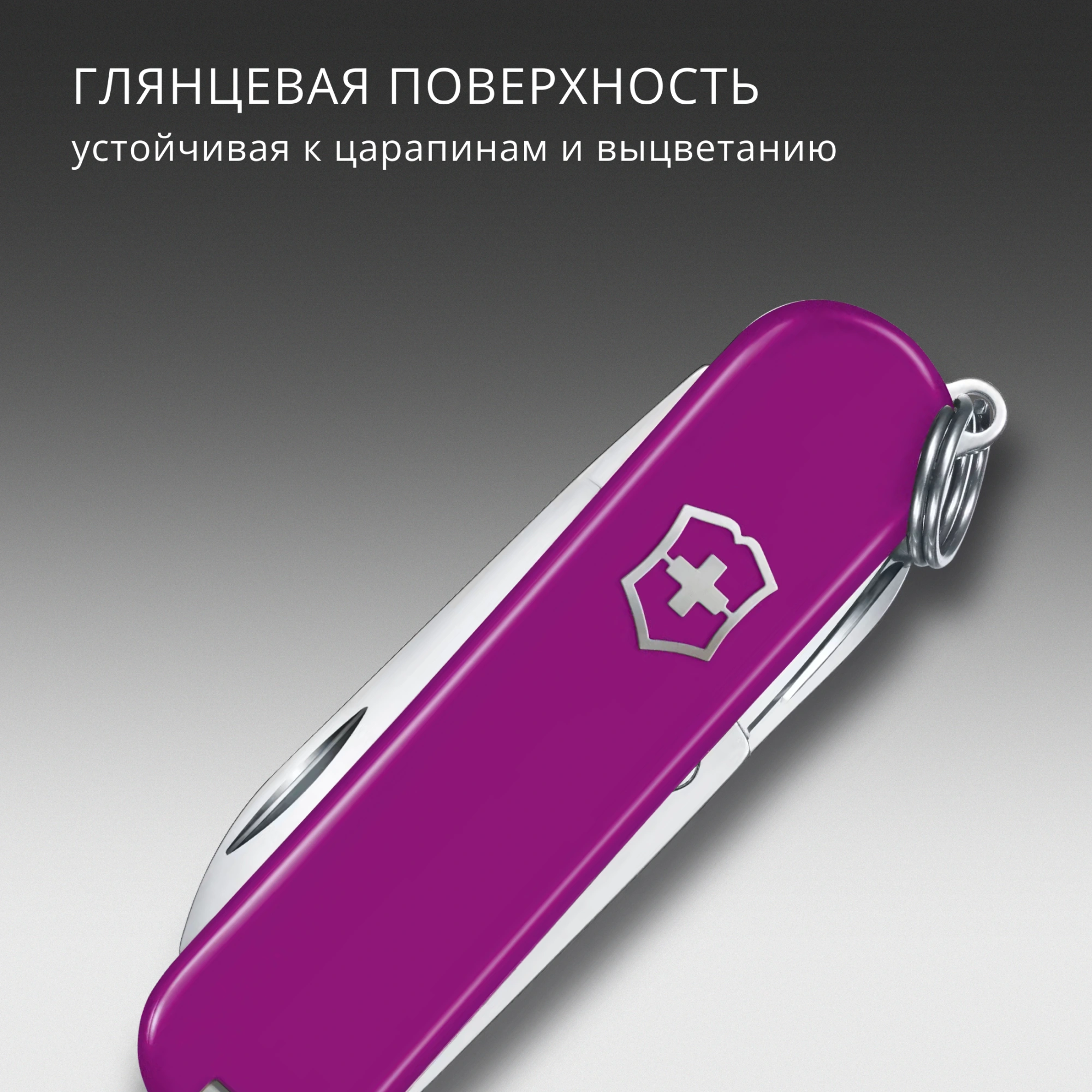 Нож перочинный Victorinox Classic SD Tasty Grape (0.6223.52G) 58мм 7функц. подар.коробка — миниатюра 7