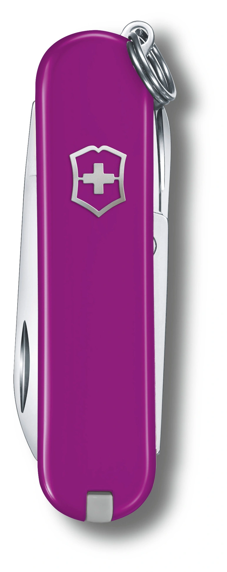 Нож перочинный Victorinox Classic SD Tasty Grape (0.6223.52G) 58мм 7функц. подар.коробка — миниатюра 2