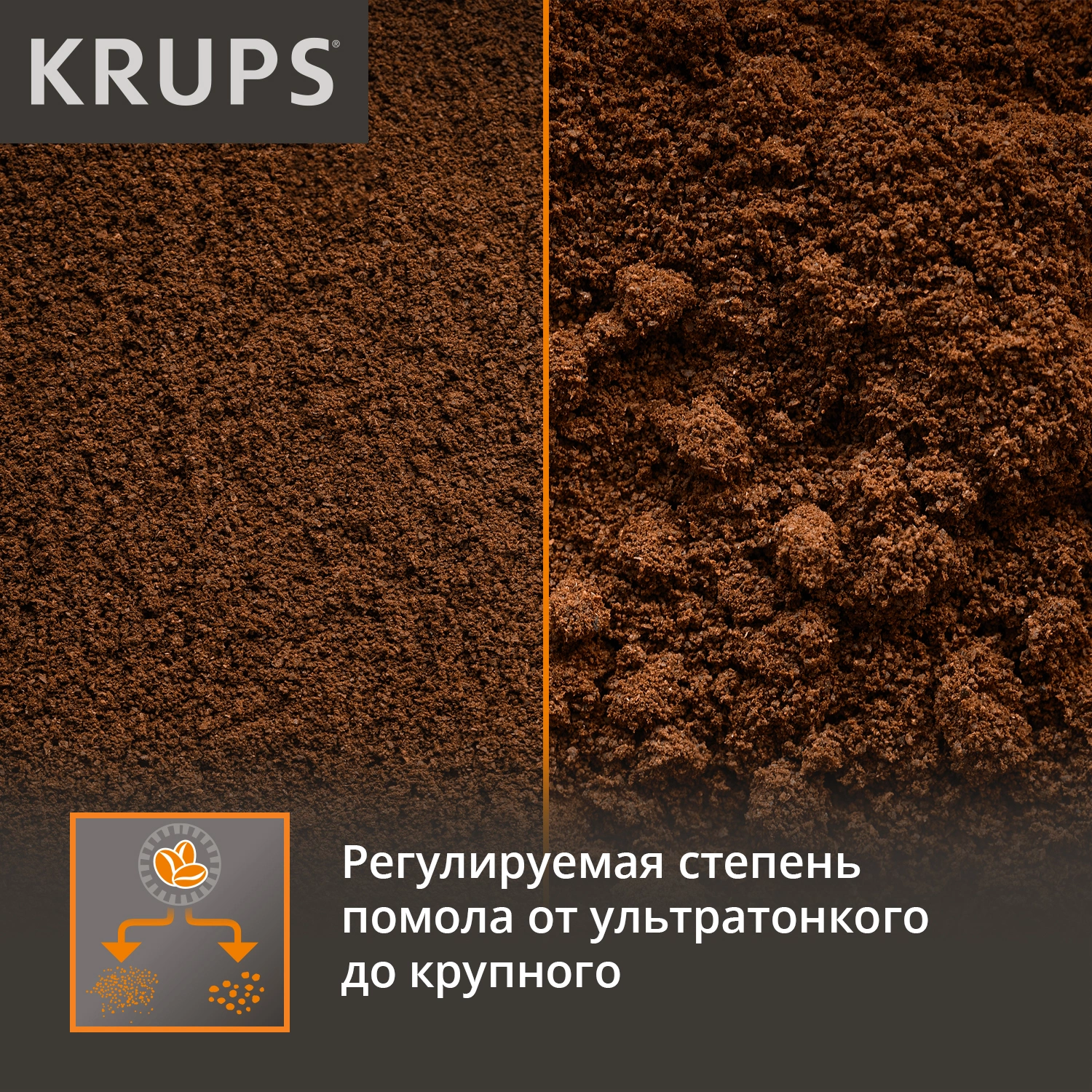 Кофемолка Krups GX204D10 200Вт сист.помол.:ротац.нож вместим.:85гр серебристый/черный — миниатюра 6