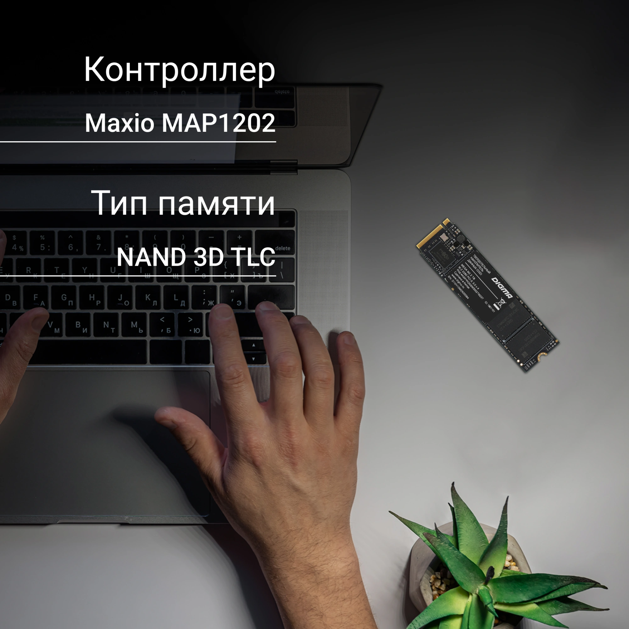 Накопитель SSD Digma PCIe 3.0 x4 2TB DGSM3002TM23T Mega M2 M.2 2280 — миниатюра 2