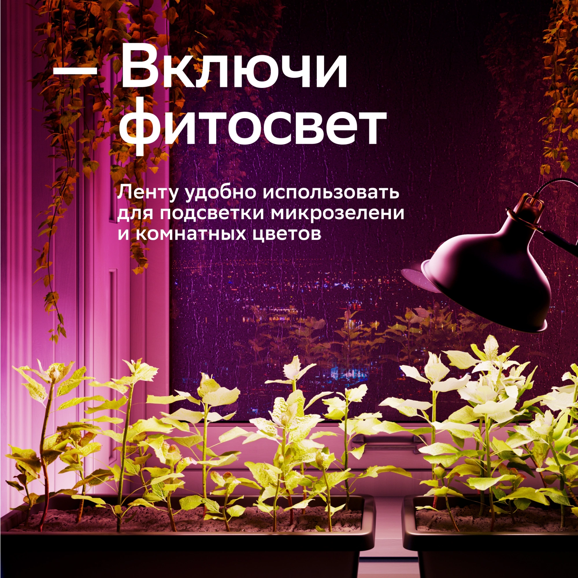Удлинитель умных светодиодных лент Sber SBDV-00038 — миниатюра 7