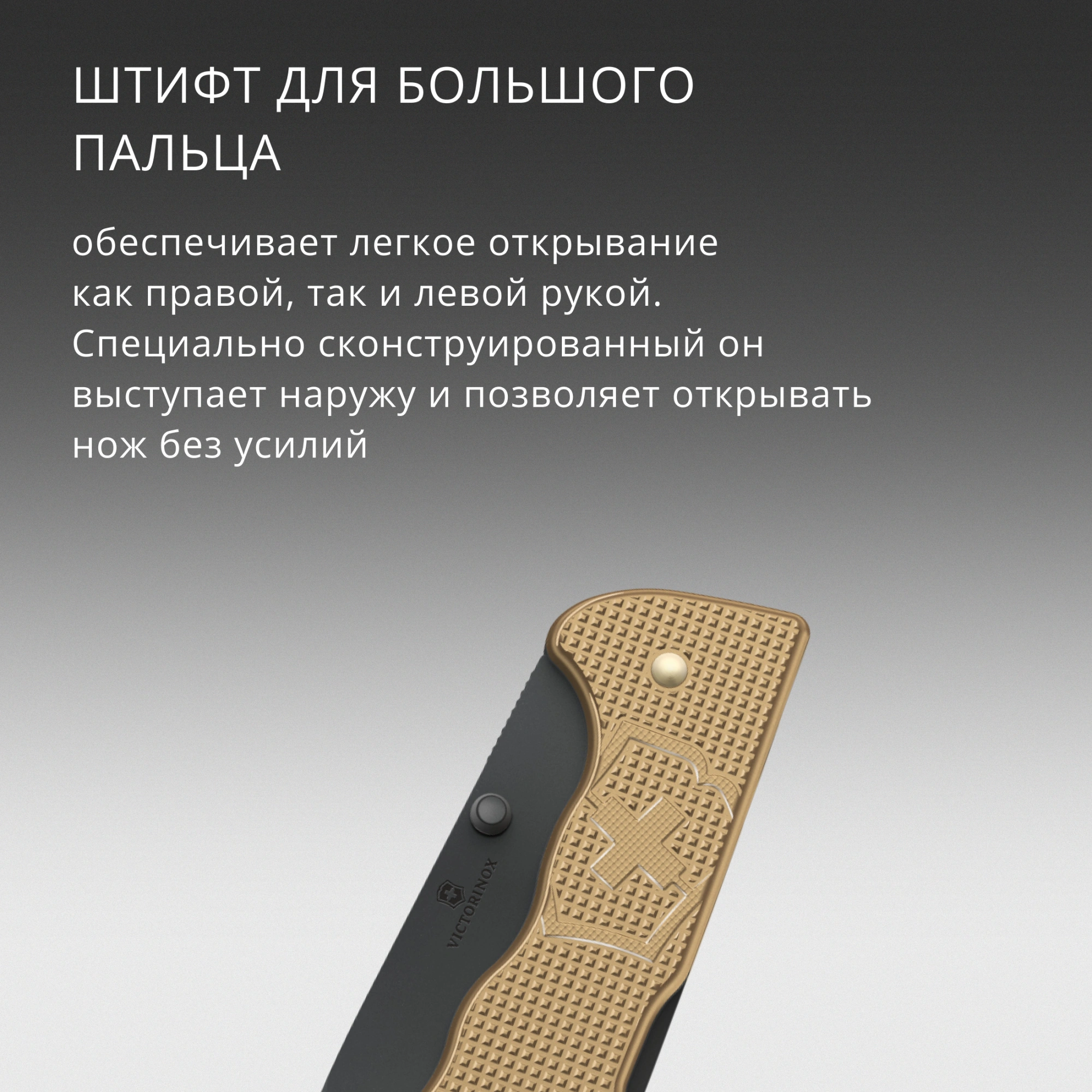 Нож перочинный Victorinox Evoke BS Alox Beige (0.9415.DS249) 136мм 4функц. бежевый подар.коробка — миниатюра 13