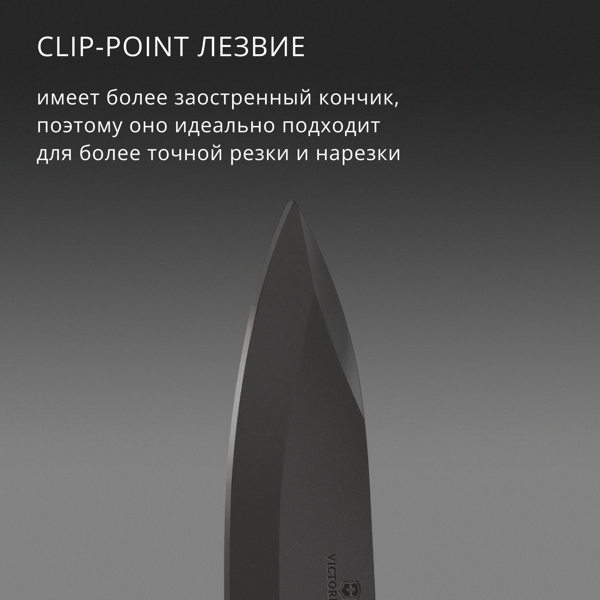 Нож перочинный Victorinox Evoke BS Alox Beige (0.9415.DS249) 136мм 4функц. бежевый подар.коробка — миниатюра 15