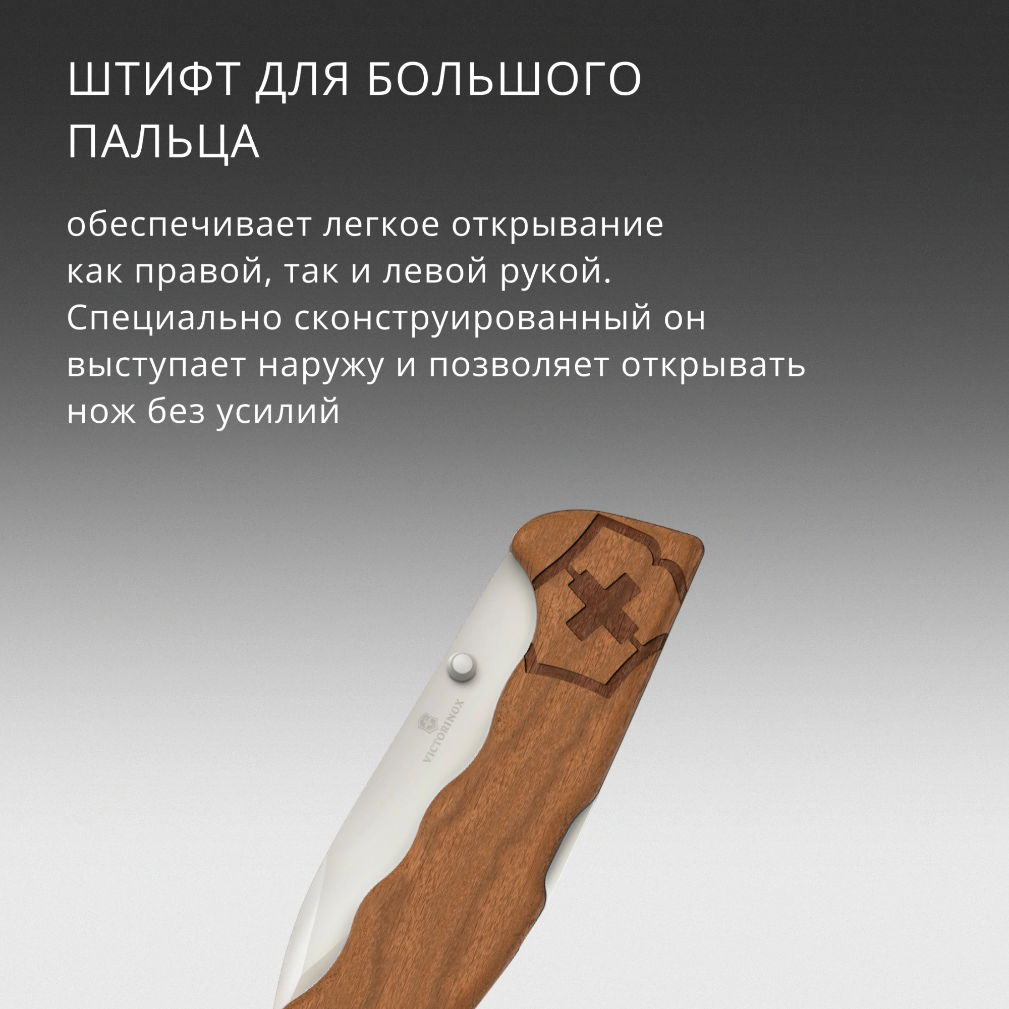 Нож перочинный Victorinox Evoke Wood (0.9415.D630) 136мм 4функц. дерево подар.коробка — миниатюра 13