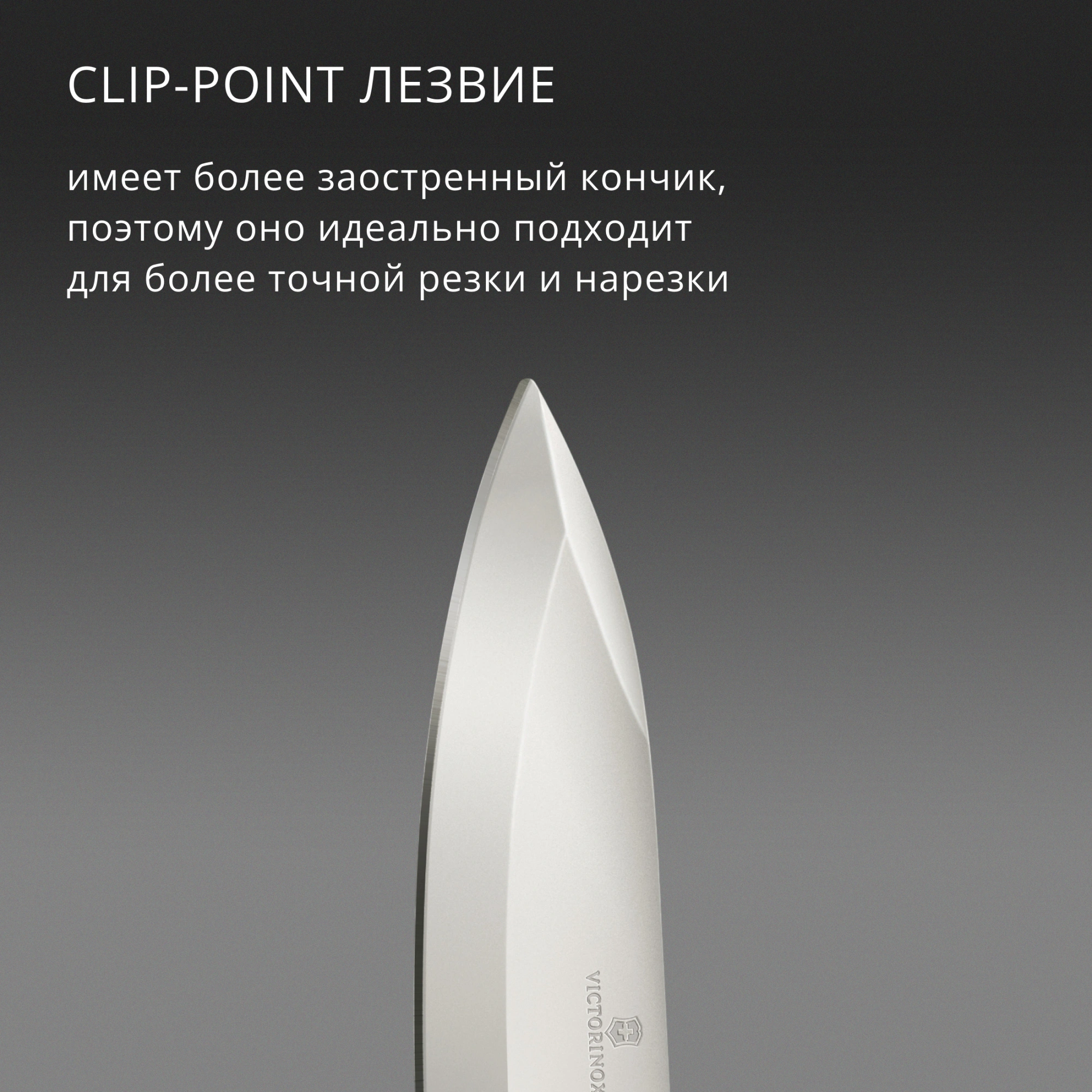 Нож перочинный Victorinox Evoke Wood (0.9415.D630) 136мм 4функц. дерево подар.коробка — миниатюра 15