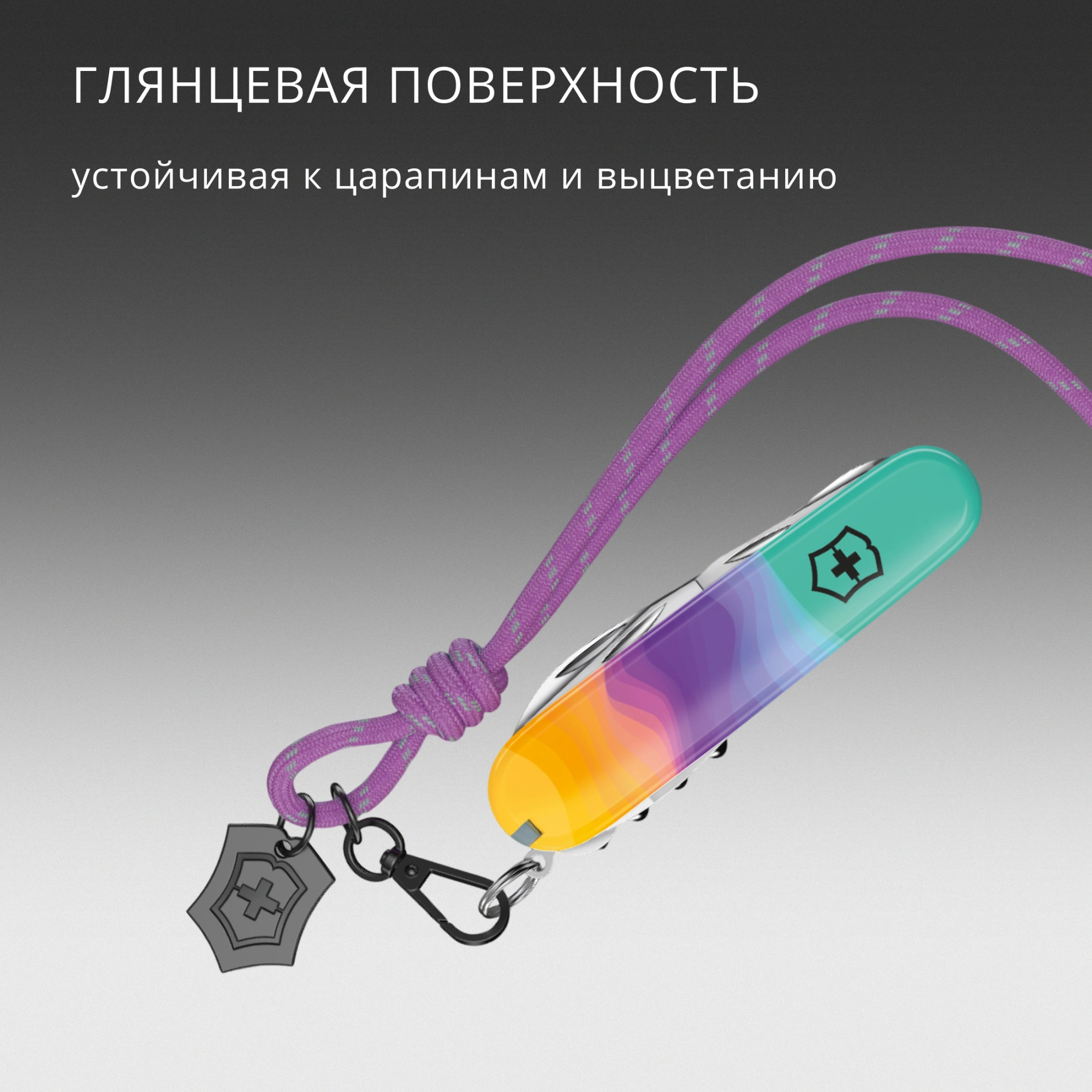 Нож перочинный Victorinox Companion Sydney Style (1.3909.E222) 91мм 16функц. ассорти подар.коробка в комплекте: шнурок на шею — миниатюра 12