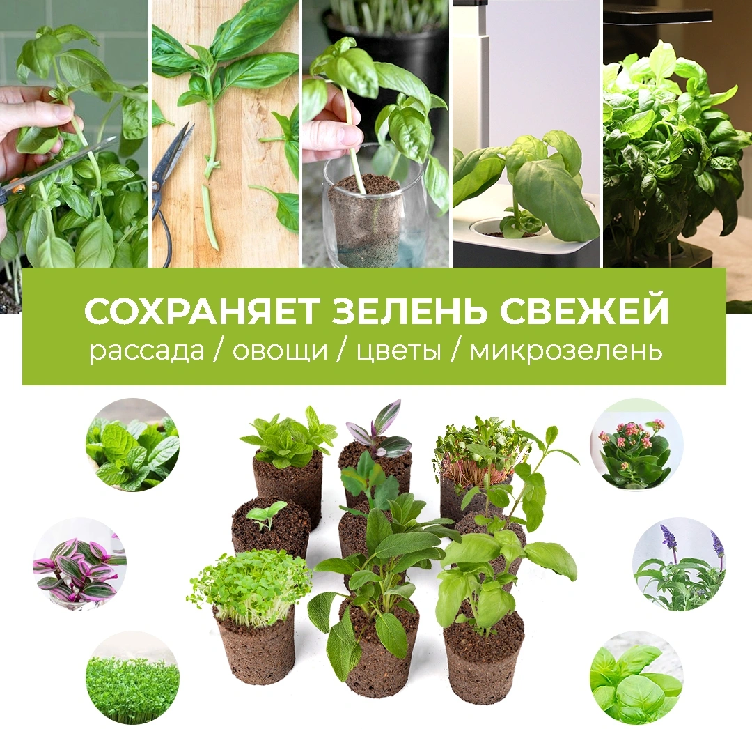 Набор питательных губок Cactus CS-SPONGE-11 для проращивания для CS-LEDPOT-11/SMARTPOT-11 (упак.:11шт) пакет — миниатюра 2