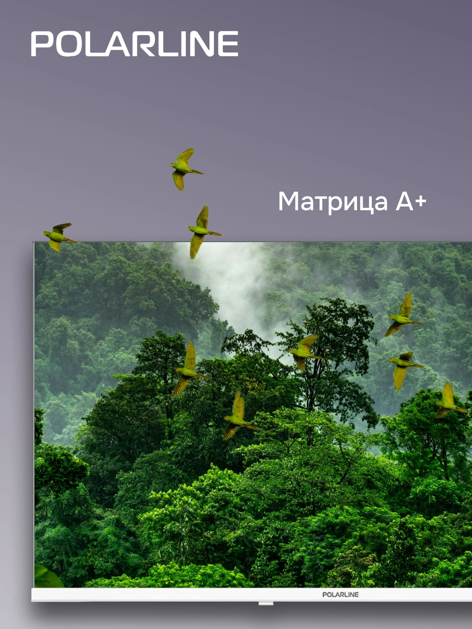 Телевизор LED PolarLine 32" 32PL53TC белый HD 60Hz DVB-T DVB-T2 DVB-C DVB-S2 USB (RUS) — миниатюра 5
