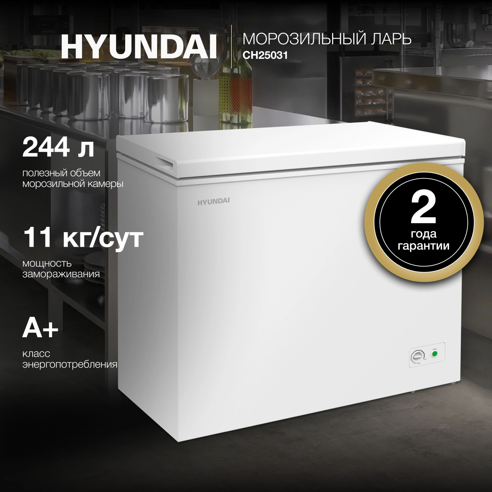 Морозильный ларь Hyundai CH25031 белый 120Вт