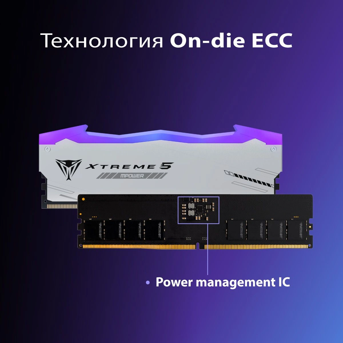 Память DDR5 2x24GB 6400MHz Patriot PVXR548G64C32KM Viper Xtreme 5 RGB RTL Gaming PC5-51200 CL32 DIMM UDIMM 288-pin 1.4В с радиатором Ret — миниатюра 9