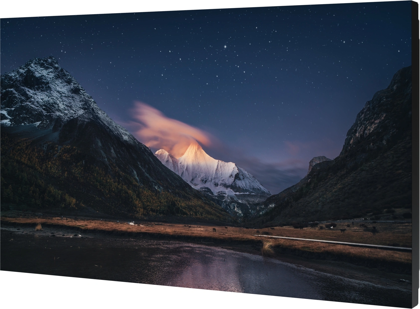 Панель Samsung 55" VM55C-R черный IPS 8ms 16:9 DVI HDMI матовая 500cd 178гр/178гр 1920x1080 VGA DP FHD USB 16.8кг — миниатюра 4