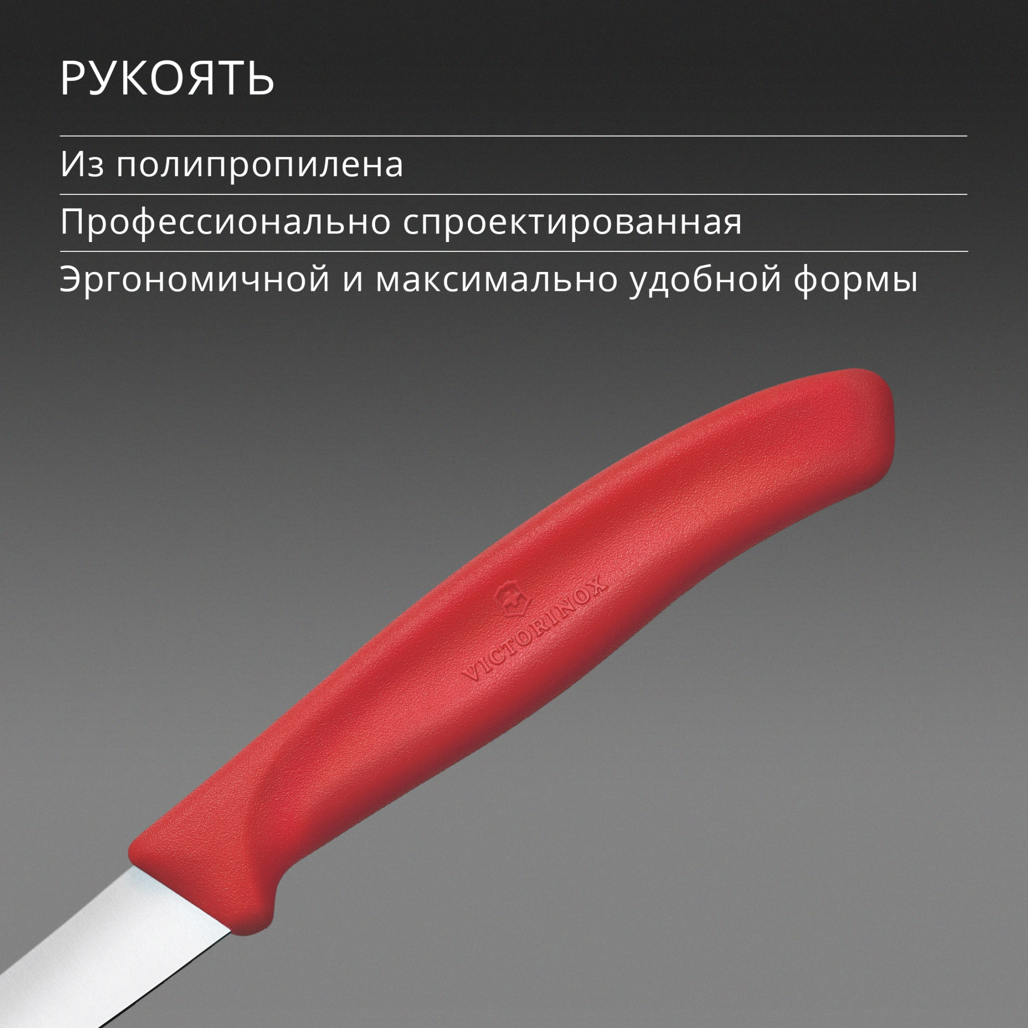 Нож кухонный Victorinox Swiss Classic 6.7301.C1 стальной разделочный для чистки овощей и фруктов лезв.60мм прямая заточка красный — миниатюра 5