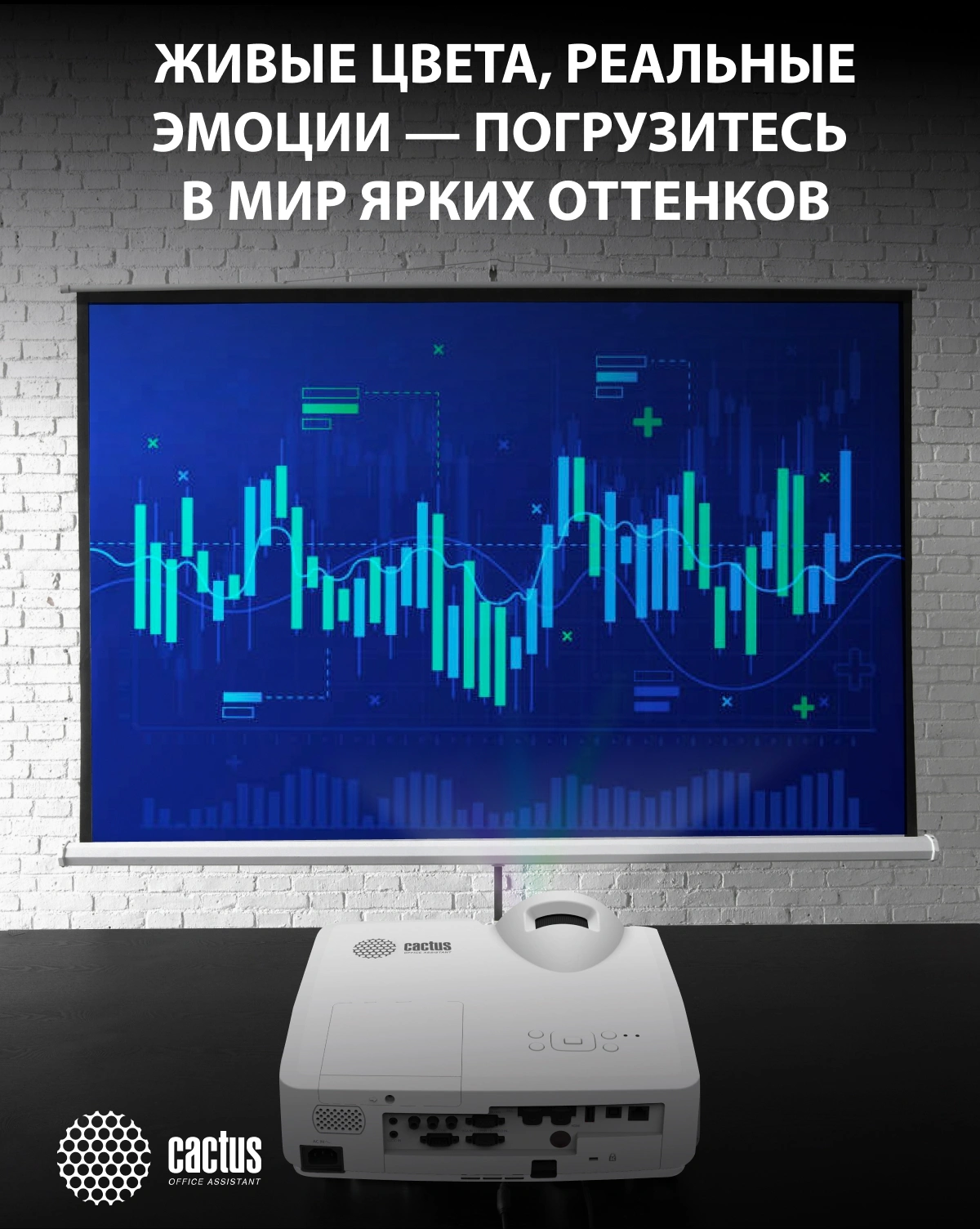 Проектор Cactus Bright CS-V2.WT 3LCD 70400Lm LS 4400Lm ANSI (1024x768) 30000:1 ресурс лампы:10000часов 1xUSB typeA 1xUSB typeB 2xHDMI 4кг — миниатюра 11