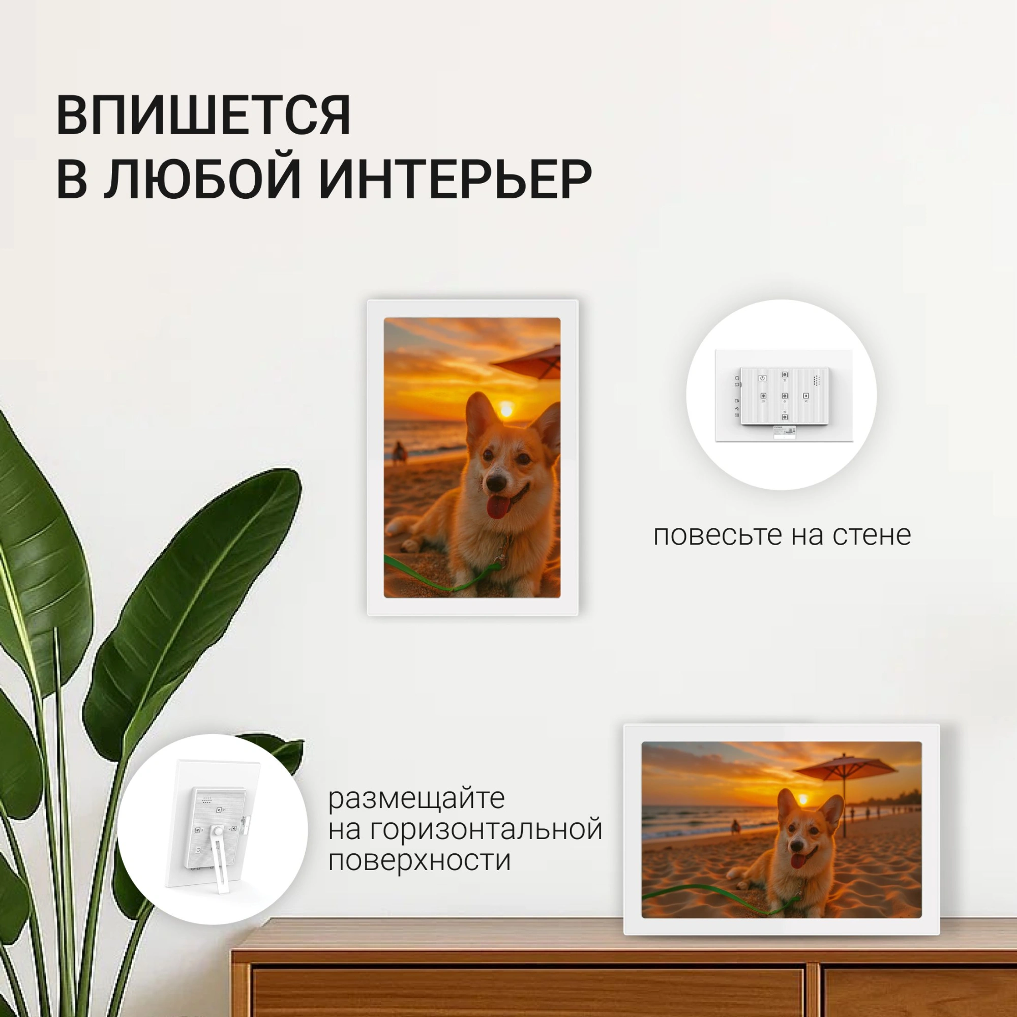 Фоторамка Digma 10.1" PF-1085 1280x800 белый пластик 16Gb Видео WiFi — миниатюра 6