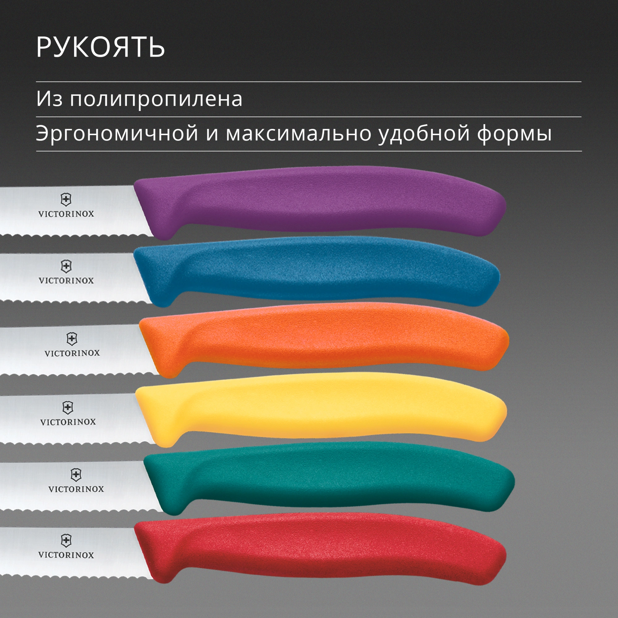 Набор ножей кухон. Victorinox Swiss Classic 6.7836.6C1 компл.:6предм. ассорти европодвес — миниатюра 11