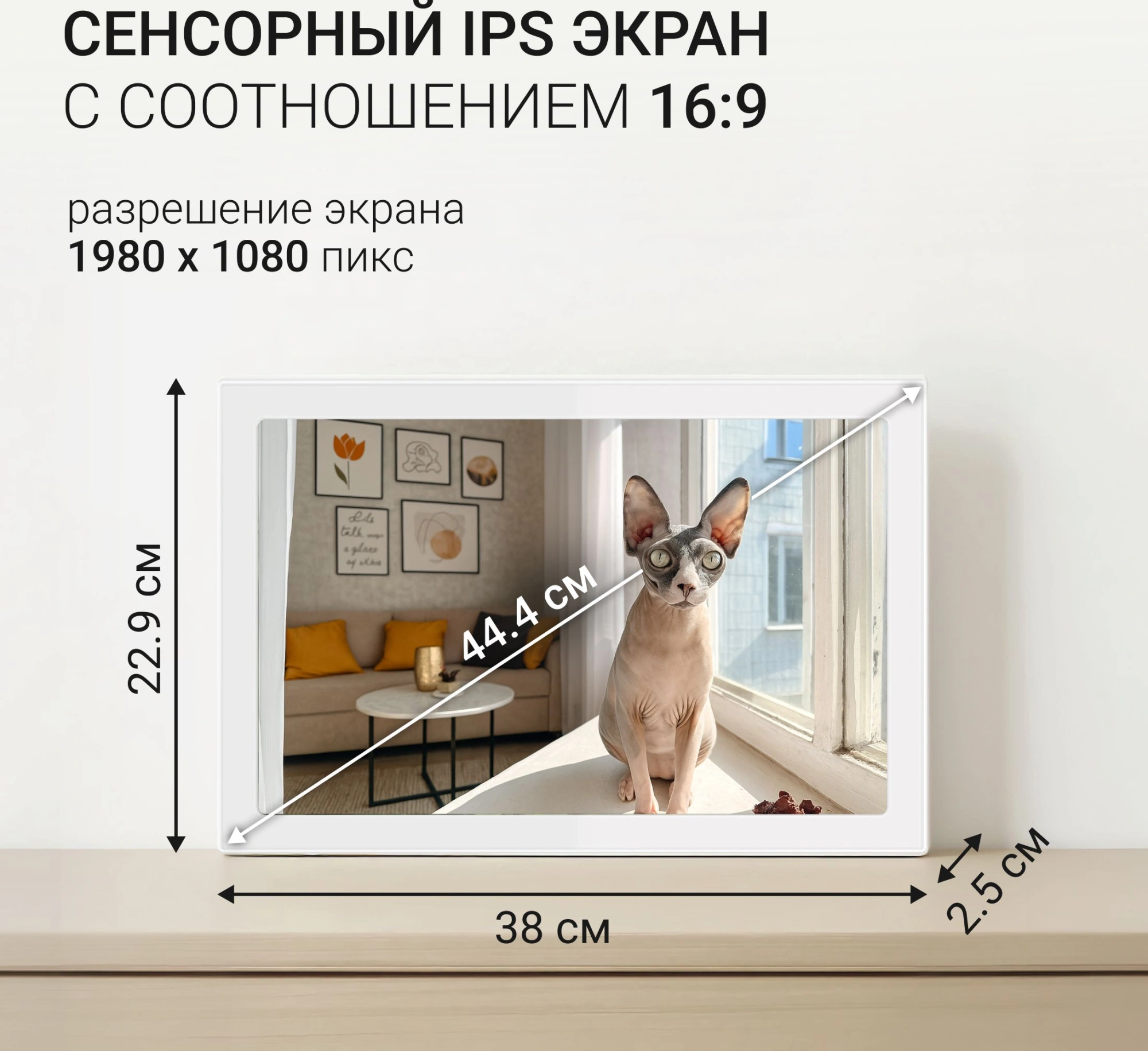 Фоторамка Digma 15.6" PF-1555 1920x1080 белый пластик 32Gb Видео WiFi — миниатюра 9