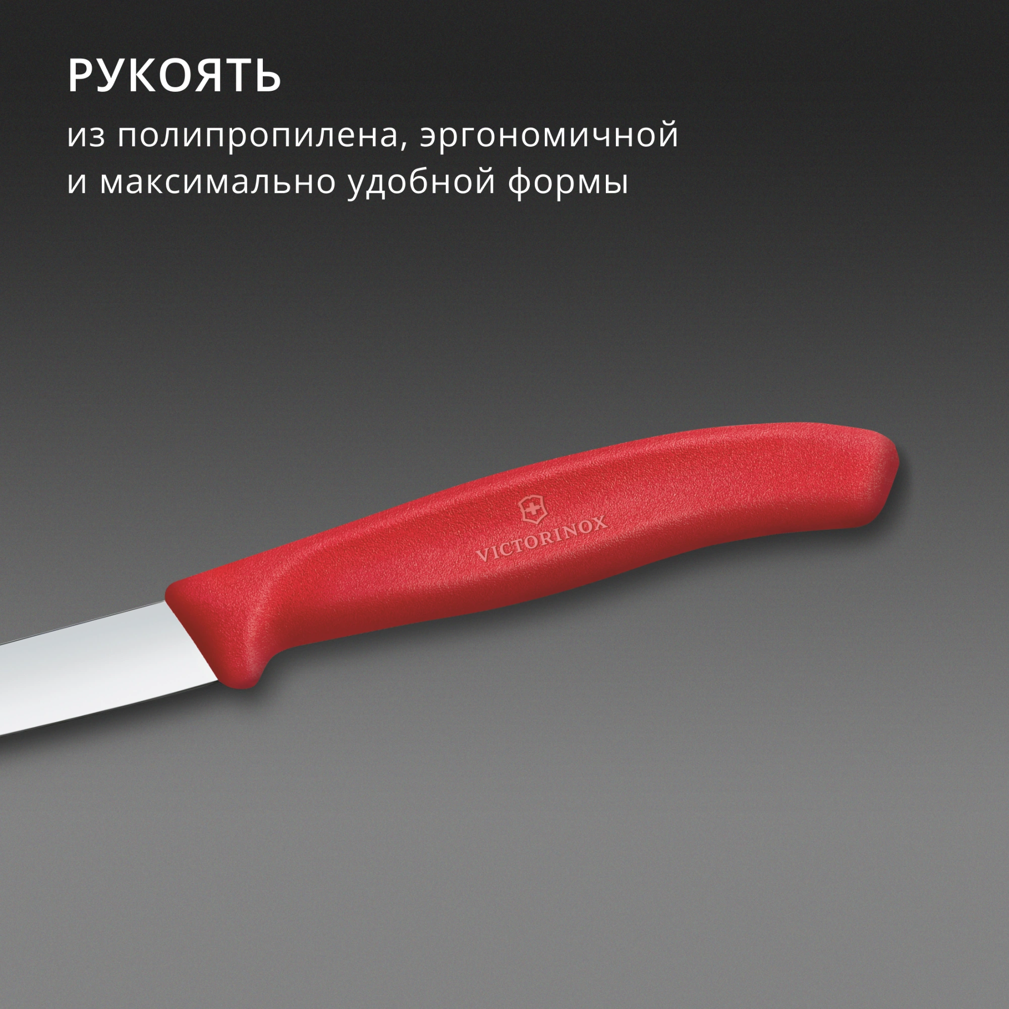 Нож кухонный Victorinox Swiss Classic (6.7601.C1) стальной универсальный для чистки овощей и фруктов лезв.80мм прямая заточка красный — миниатюра 5