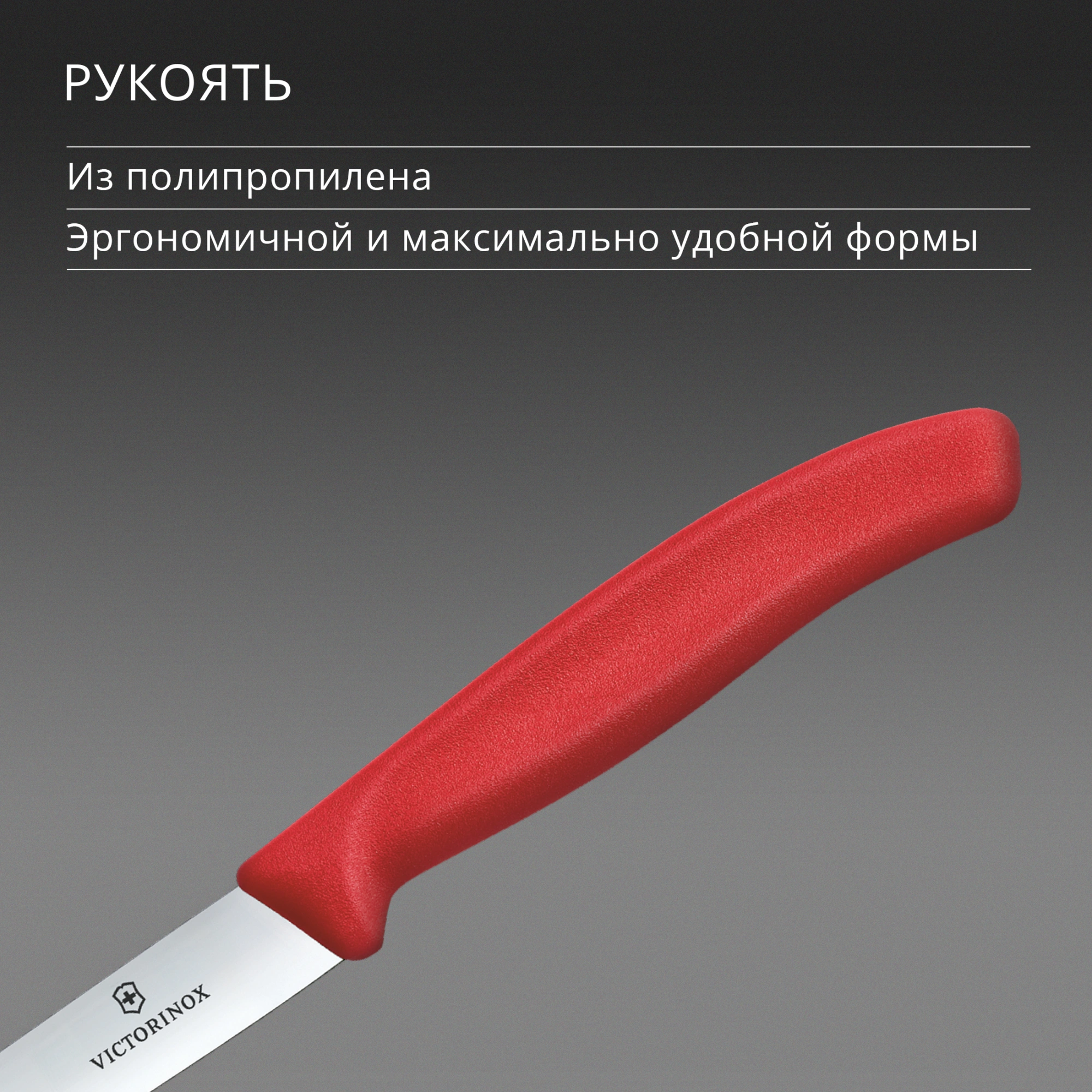 Нож кухонный Victorinox Swiss Classic (6.7701.C1) стальной универсальный для чистки овощей и фруктов лезв.100мм прямая заточка красный — миниатюра 4