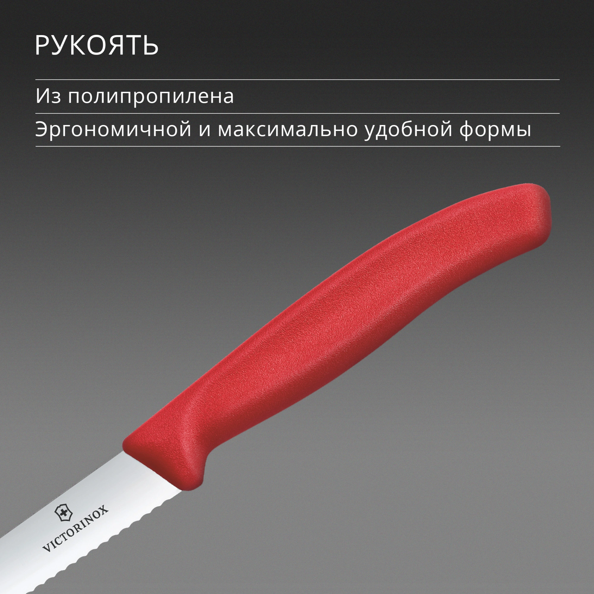 Нож кухонный Victorinox Swiss Classic 6.7731.C1 стальной универсальный для овощей лезв.100мм серрейт. заточка красный — миниатюра 5